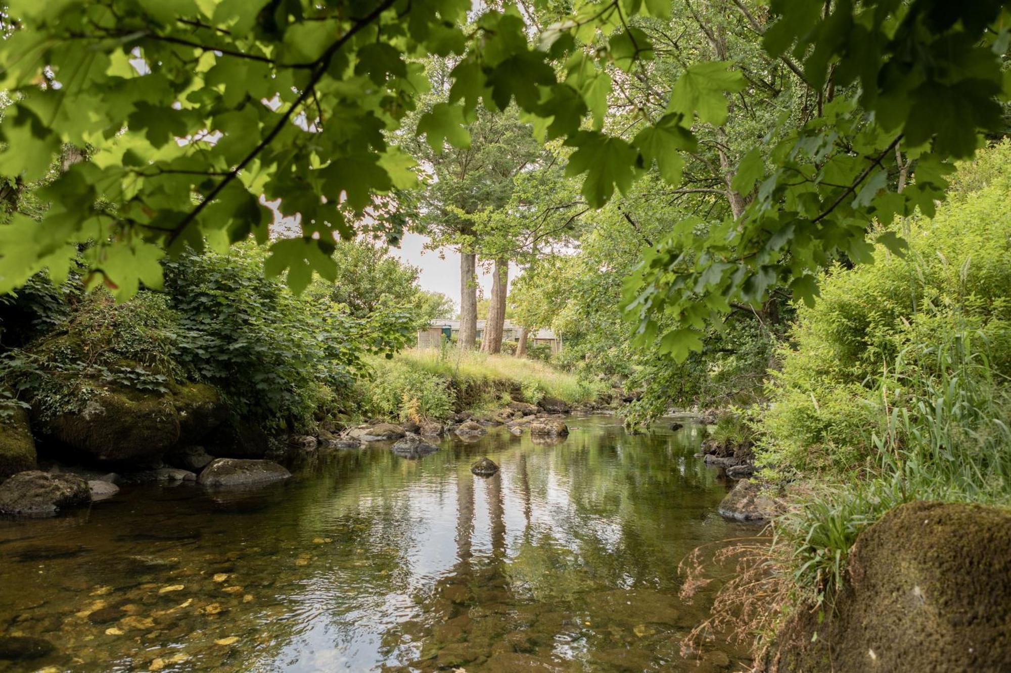 Vila Afonfa - Llanuwchllyn Bala Exteriér fotografie
